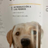 producto_639279655210167756_2 La Guía Completa De Razas Caninas - Dorling Kindersley