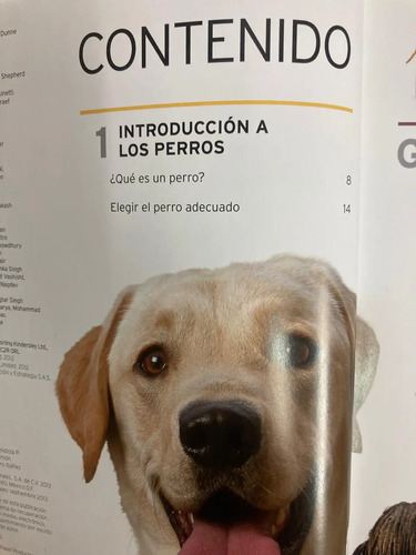 producto_639279655210167756_2 La Guía Completa De Razas Caninas - Dorling Kindersley