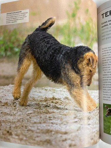 producto_639279655232708037_4 La Guía Completa De Razas Caninas - Dorling Kindersley