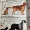 producto_639279655245770564_5 La Guía Completa De Razas Caninas - Dorling Kindersley