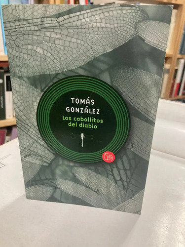 Los Caballitos Del Diablo - Tomás González