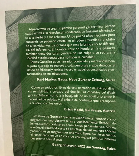 Los Caballitos Del Diablo - Tomás González