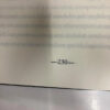 Delirio - David Grossman