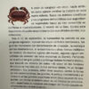 A Paso De Cangrejo - Umberto Eco