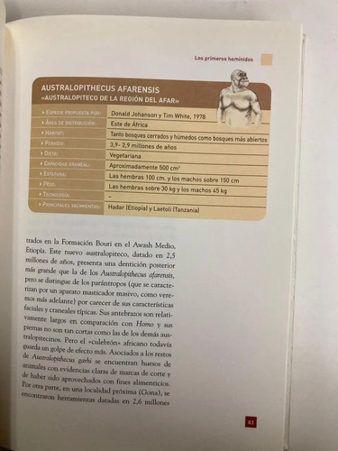 Hijos De Un Tiempo Perdido - José María Bermúdez De Castro