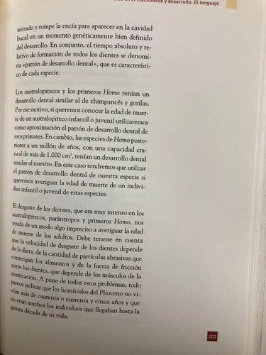 Hijos De Un Tiempo Perdido - José María Bermúdez De Castro