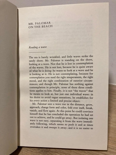 Mr. Palomar - Italo Calvino