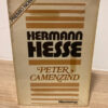 Hermann Hesse - Peter Camenzind