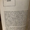 Un Poeta Y Un Continente - Mirta Aguirre