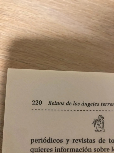 Reinos De Los Ángeles Terrenales - Doreen Virtue