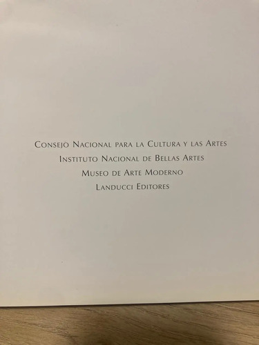 Museo De Arte Moderno - Tradición Y Vanguardia