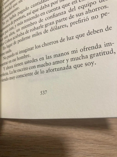 Un Destello De Luz - Louise Penny