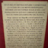 La Gran Búsqueda - Sylvia Nasar