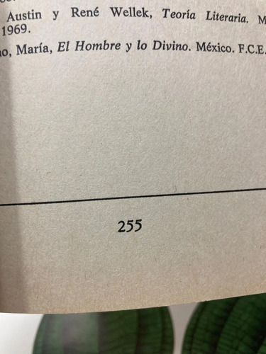 Magias Y Maravillas En El Continente Literario  Víctor Bravo