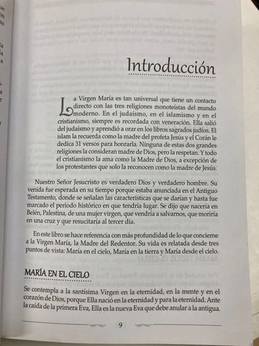 Apariciones Marianas A Través De Los Tiempos José Luis Pivel
