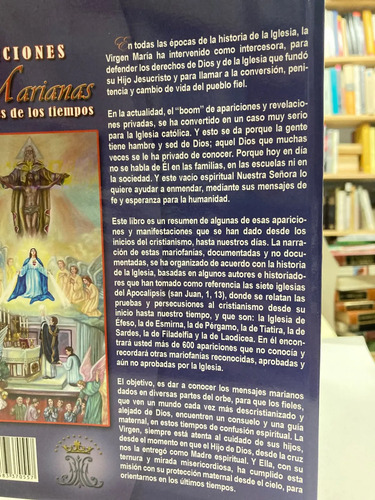 Apariciones Marianas A Través De Los Tiempos José Luis Pivel