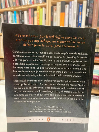 Cumbres Borrascosas - Emily Bronte