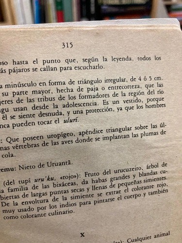 producto_639279720372535746_5 Maira - Darcy Ribeiro