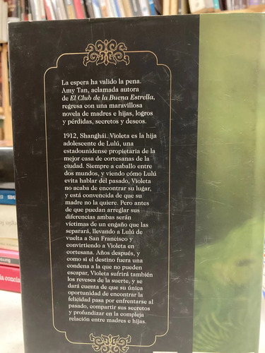 El Valle Del Asombro - Amy Tan
