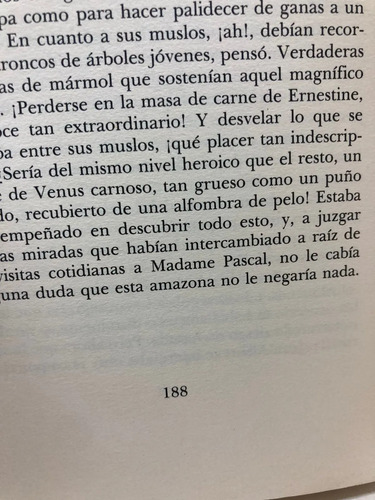La Alegría De Amar - Anne-merie Villefranche