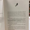 Y Luego Ganas Tú - Andrea Compton