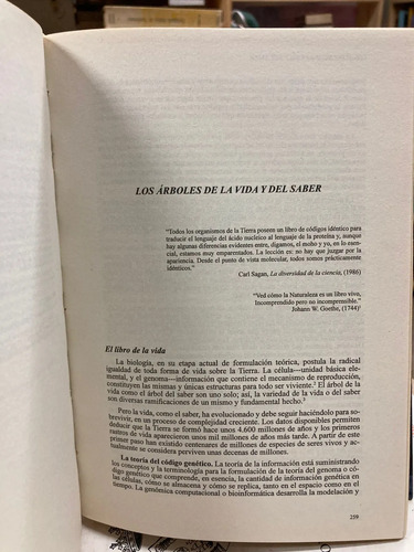 La Destrucción Del Saber Por El Fuego - Luis Alberto Arenas