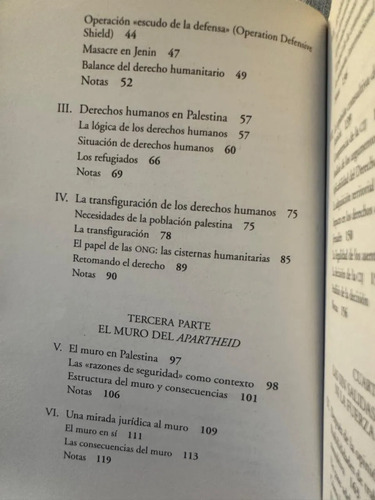 Palestina - Victor De Correa-lugo