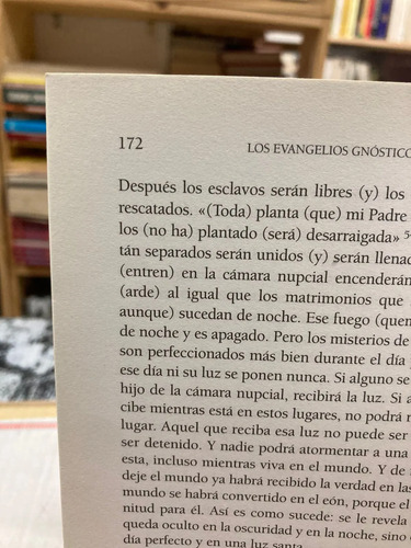 Los Evangelios Gnósticos - César Vidal