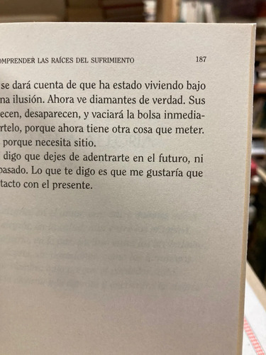 Alegría, La Felicidad Que Surge Del Interior - Osho