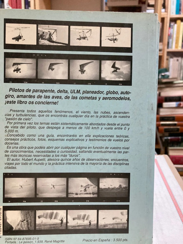 Visitar El Cielo - Hubert Aupetit
