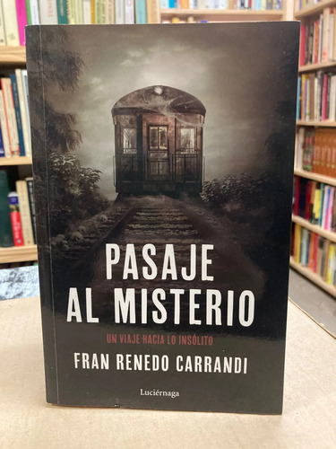Pasaje Al Misterio - Fran Renedo Carrandi
