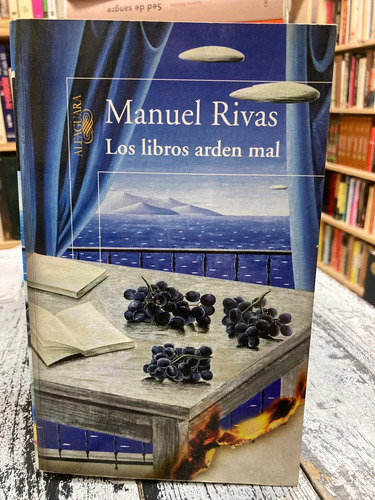 Los Libros Arden Mal - Manuel Rivas