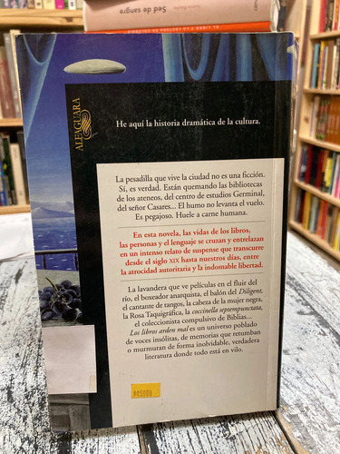 Los Libros Arden Mal - Manuel Rivas