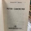 Peter Camenzind - Hermann Hesse