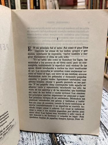 Peter Camenzind - Hermann Hesse