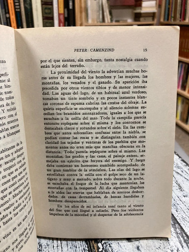 Peter Camenzind - Hermann Hesse