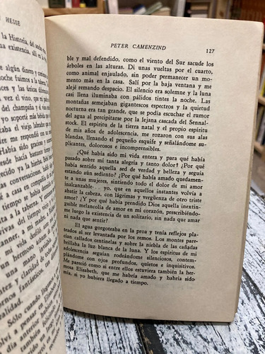 Peter Camenzind - Hermann Hesse