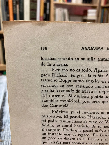 Peter Camenzind - Hermann Hesse