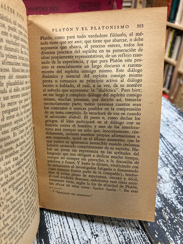 producto_639279800304089232_5 Platón Y El Platonismo - Walter Pater