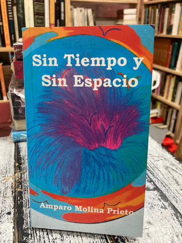 producto_639279800611241824_0 Sin Tiempo Y Sin Espacio - Amparo Molina Prieto