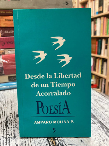 producto_639279802517676488_0 Poesía - Amparo Molina
