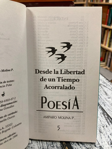 producto_639279802531477326_1 Poesía - Amparo Molina
