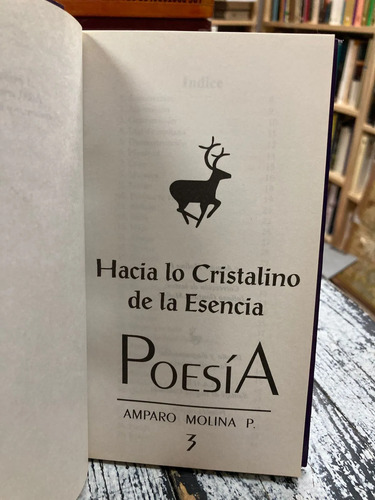 Poesía - Amparo Molina P.