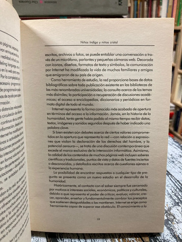 Niños Índigos Y Niños Cristal - Santiago Plebs