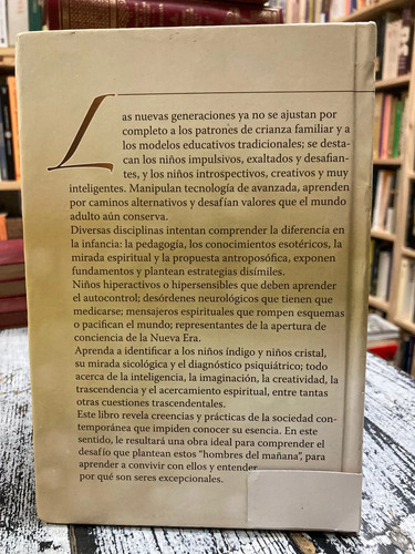 Niños Índigos Y Niños Cristal - Santiago Plebs