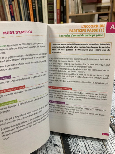 Dictionnaire Des Conjugaisons