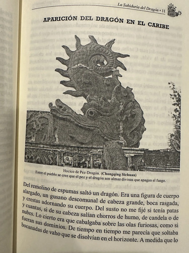 La Sabiduría Del Dragón Flor Romero Y Rodrigo Querubín
