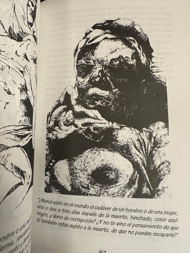 Buda Para Principiantes