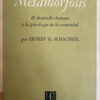 Metamorfosis Ernest Schachtel