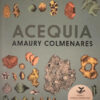 Acequia - Amaury Colmenares